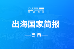 易币付(中国)GO GLOBAL | 巴西国家简报